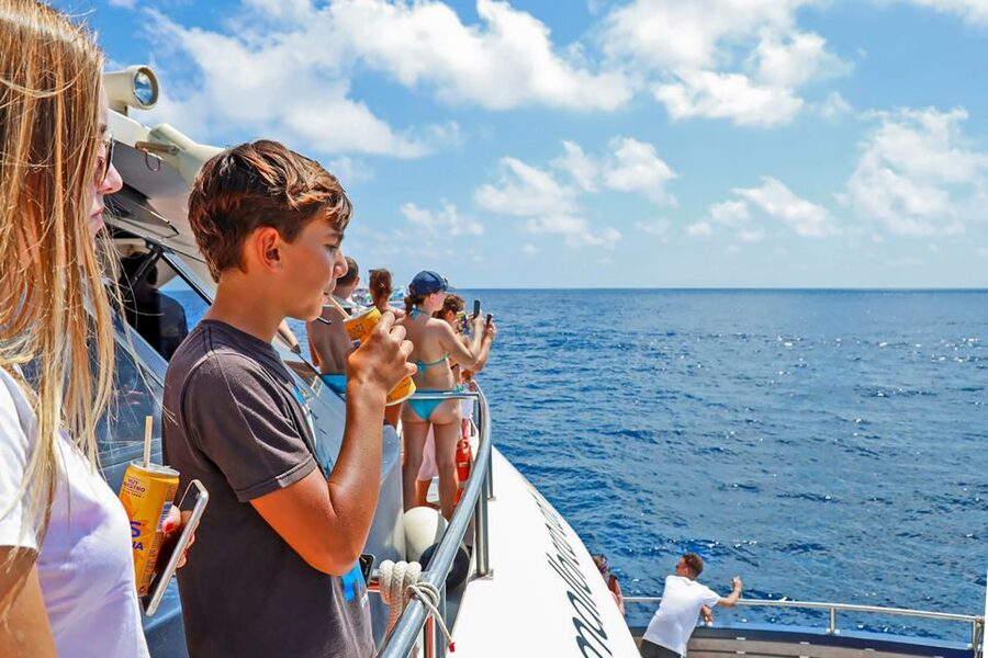 Mallorca: Dolphin Watching Cruise - Who should book this, and who should think twice