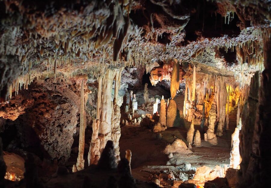Mallorca: Drach and Hams Caves, and Porto Cristo Day Tour - Who This Tour Fits Best