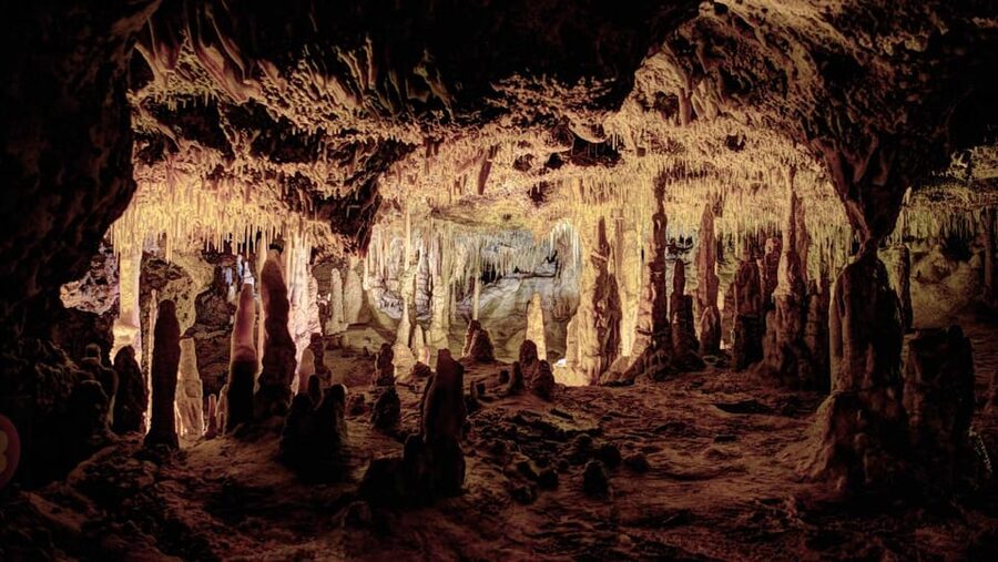 Mallorca: Drach Caves, Lake Martel, & Pearl Factory Day Trip - FAQ