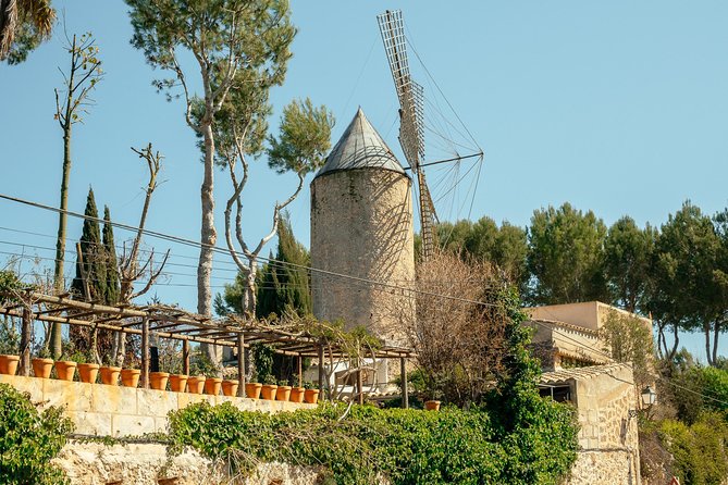 Mallorca Drach Caves Private Day Trip by Car with Hotel Pick-Up - Private car day from Palma, without the time tax