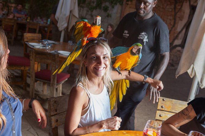 Mallorca Evening Tour: Horseback Riding, Dinner and Dance - The group vibe: where people feel impressed and where they get impatient