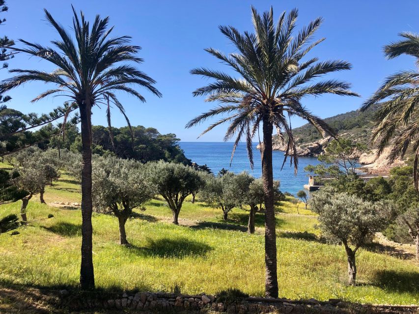 Mallorca: Explore the Island Dragonera with the kayak - Why Sant Elm Makes This Kayak Trip Feel Special