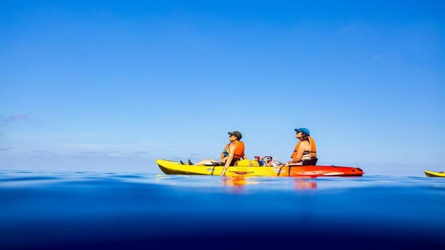Mallorca: Explore the Island Dragonera with the kayak - Swim and Snorkel Breaks: Gear Is Included, but You Still Need Swim Comfort