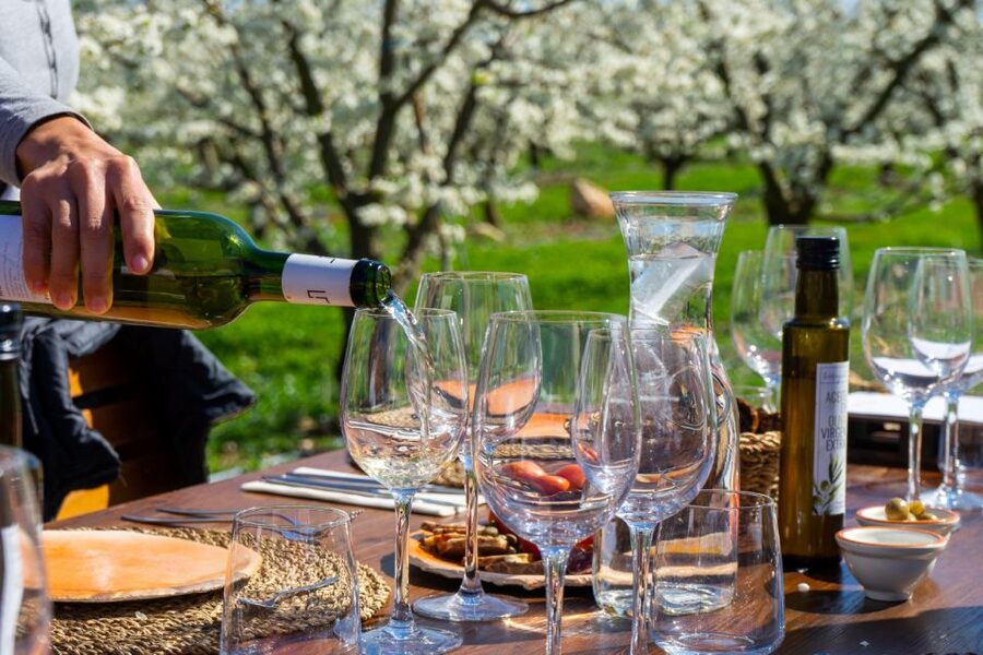 Mallorca: Full-Day Winery Small Group Tour - Key Highlights Worth Betting Your Day On