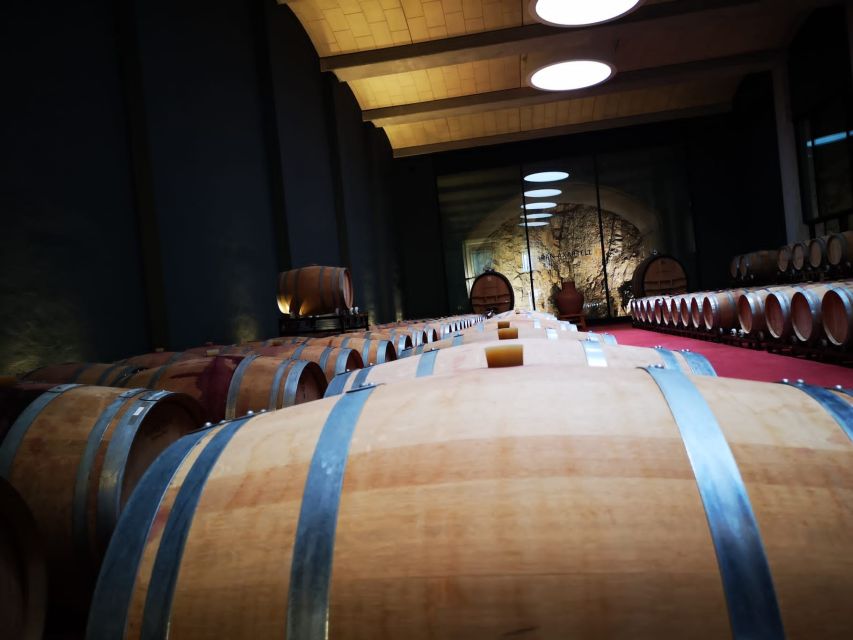 Mallorca: Full-Day Winery Small Group Tour - Getting There From Palma: Minibus Comfort and Real-Time Updates