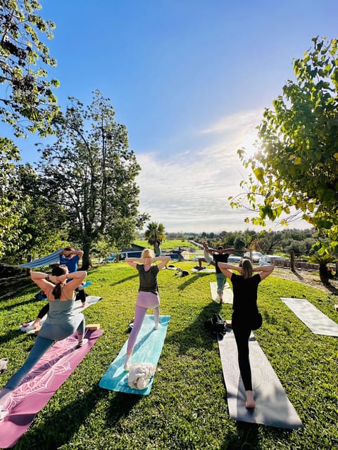 Mallorca: Holistic Private Yoga and Meditation Retreat - A 5-hour Reset at a Mallorca Finca