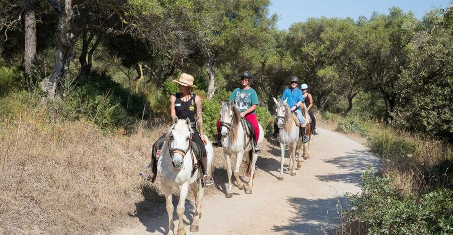 Mallorca: Horseback Riding Excursion and Wine Tasting - Why This Horseback + Wine Stop Works in Alcudia