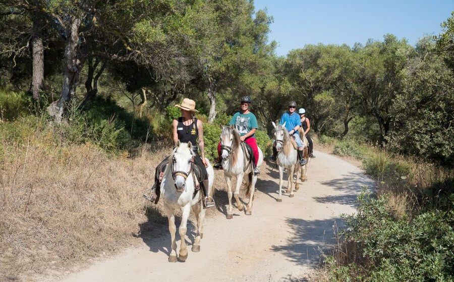 Mallorca: Horseback Riding Excursion and Wine Tasting - Arriving at Ranch Ses Roques for Wine, Cheese, and Local Farm Tastes