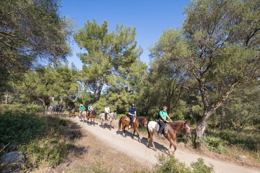 Mallorca: Horseback Riding Excursion and Wine Tasting - Who Should Book, and Who Should Skip It