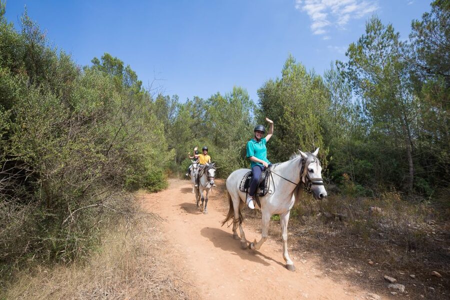 Mallorca: Horseback Riding Excursion and Wine Tasting - Should You Book This Mallorca Horseback Riding and Wine Tasting Tour?