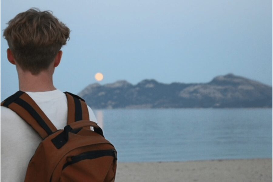 Mallorca: Instafamous Tour of Palma and North coast - Port de Pollença, winter note included