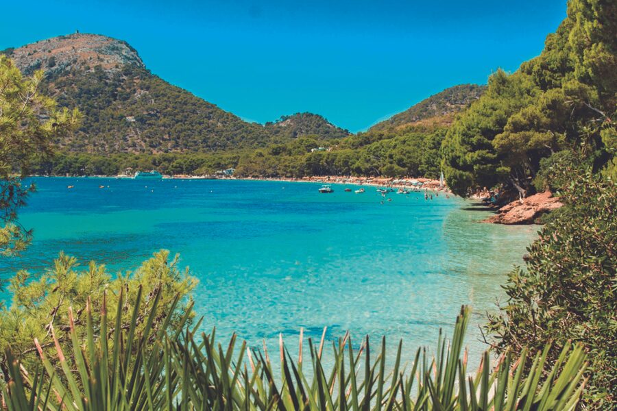 Mallorca: Instafamous Tour of Palma and North coast - Palma Cathedral: that world-famous photo moment, plus a walk