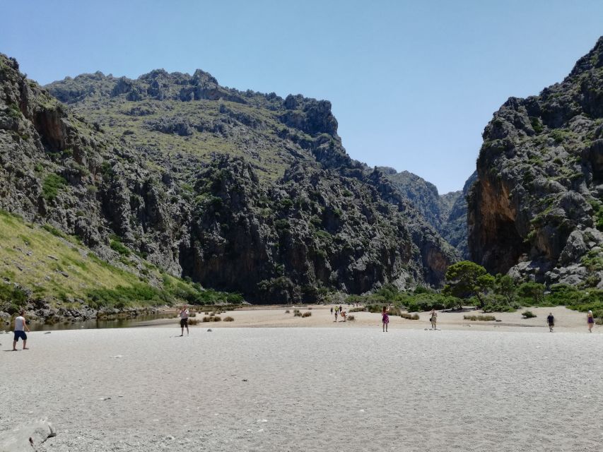 Mallorca: Island Tour with Boat, Train, and Hotel Transfer - Key highlights worth planning for