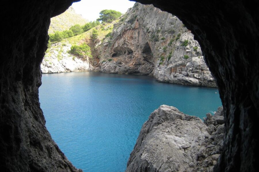Mallorca: Island Tour with Boat, Train, and Hotel Transfer - Palma to Sóller by vintage train, then the tram transition