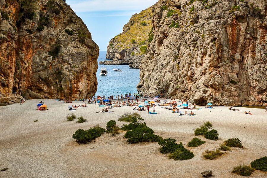 Mallorca: Island Trip by Train, Tramway, and Boat - Starting point choice: Son Sardina Station vs Sóller in Palma