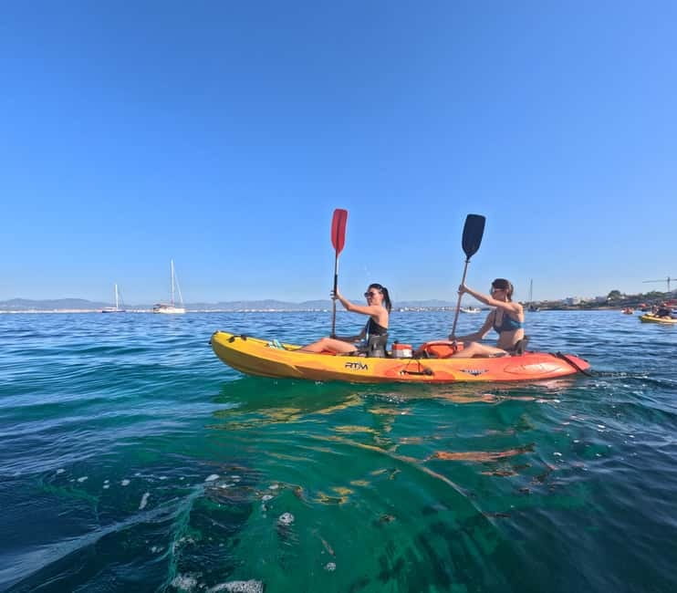 Mallorca: Kayak Rental - Sea kayak rental in Can Pastilla, Palma Bay (and why it works)