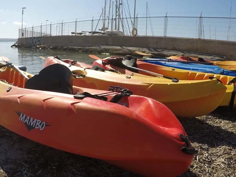Mallorca: Kayak Rental - Self-paced sea kayaking: the good and the honest trade-off