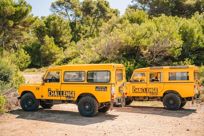 Mallorca: Kayaking, Sea Cave, Cliff Jumping & Snorkel Tour - Gear Up: Why Wetsuits, Helmets, and Life Jackets Make This Tour Feel Safer