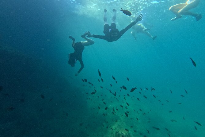 Mallorca: Kayaking, Sea Cave, Cliff Jumping & Snorkel Tour - Snorkeling in Clear Mediterranean Water and Finding the Treasure Story
