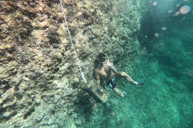 Mallorca: Kayaking, Sea Cave, Cliff Jumping & Snorkel Tour - Getting There: Northern Mallorca Pickup and the Alcúdia Meeting Point