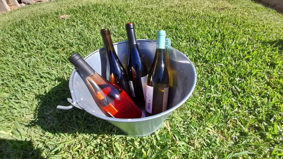 Mallorca: Local Wines & Foods Tasting - The Non-Wine Side: Pate, Jam, and Extra Olive Oil