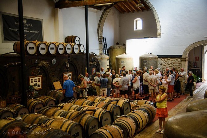 Mallorca Off the Beaten Track - Price and Value: Is $94.25 a Good Deal?