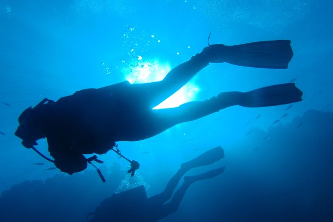Mallorca: Open Water Diver Course - Key Highlights You’ll Care About
