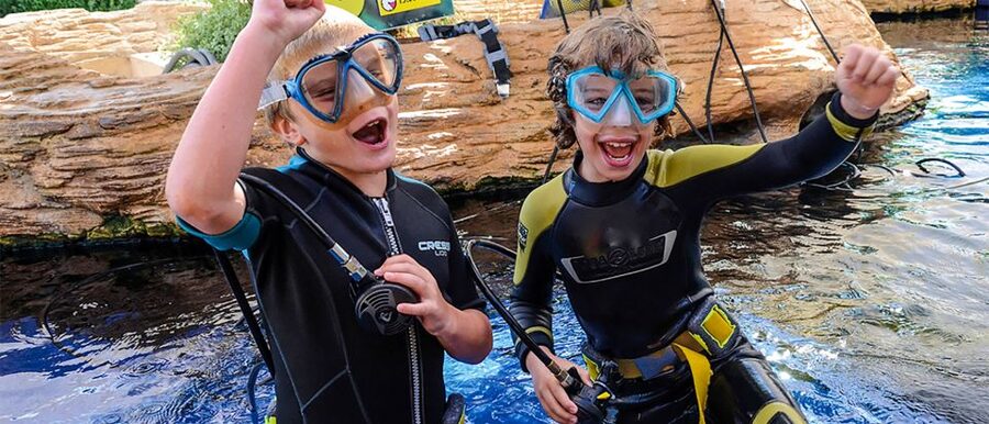 Mallorca: Palma Aquarium Entry Ticket w/ Optional 3D Cinema - Key things to know before you buy