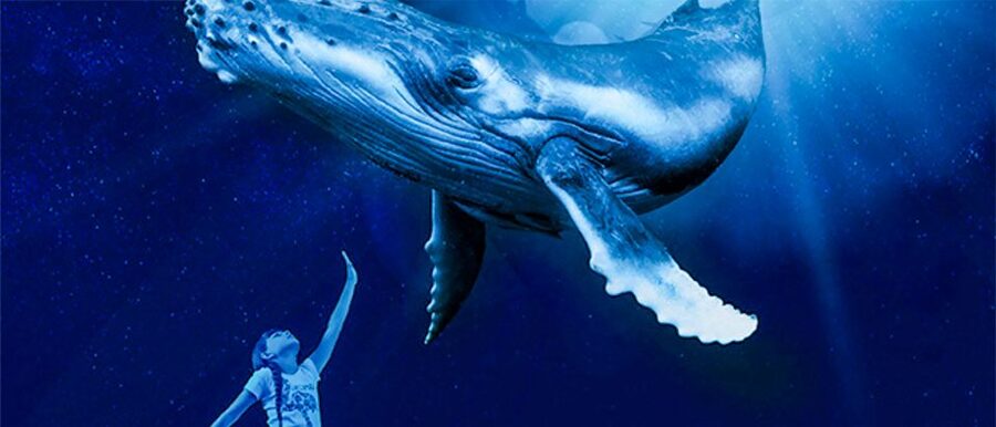 Mallorca: Palma Aquarium Entry Ticket w/ Optional 3D Cinema - The 1 km walk through 8 habitats: Mediterranean to Medusarium
