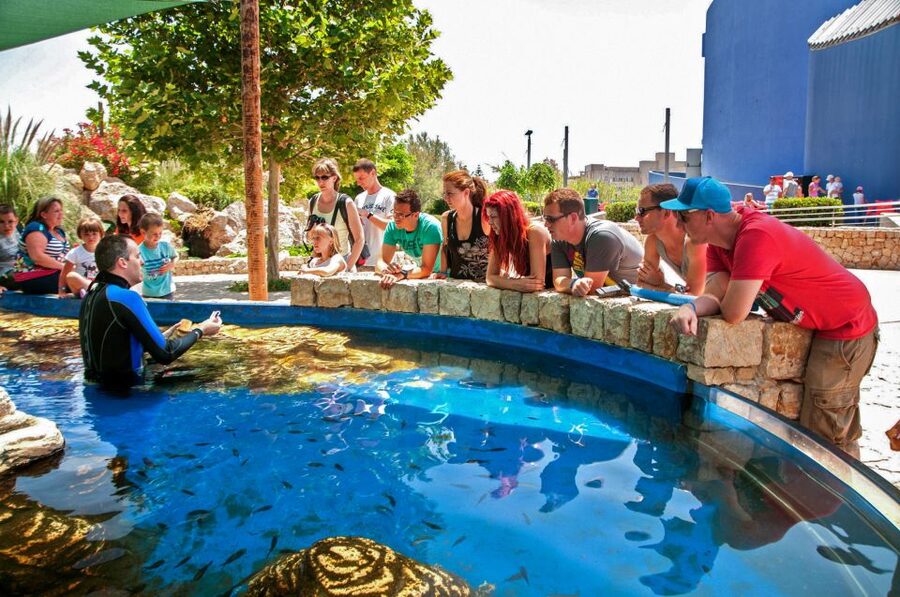 Mallorca: Palma Aquarium Entry Ticket w/ Optional 3D Cinema - Big Blue and the daily feedings: how to time your visit