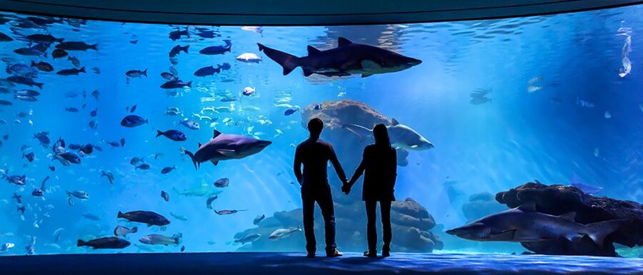 Mallorca: Palma Aquarium Entry Ticket w/ Optional 3D Cinema - Ocean Experts talks: learning without feeling like homework