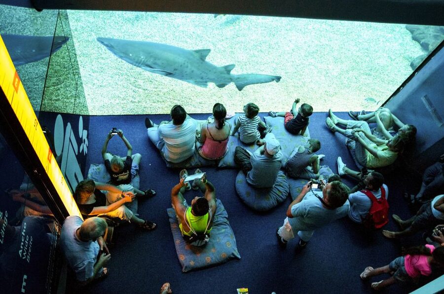 Mallorca: Palma Aquarium Entry Ticket w/ Optional 3D Cinema - Family-friendly zones: water play, indoor playground, and outdoor jungle vibes