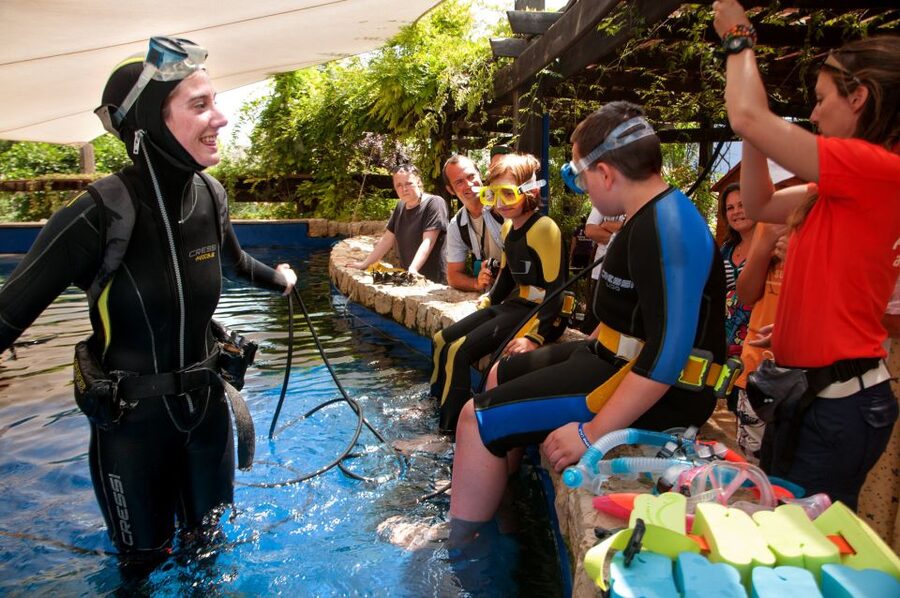 Mallorca: Palma Aquarium Tickets with Transfer - Key things to know before you go