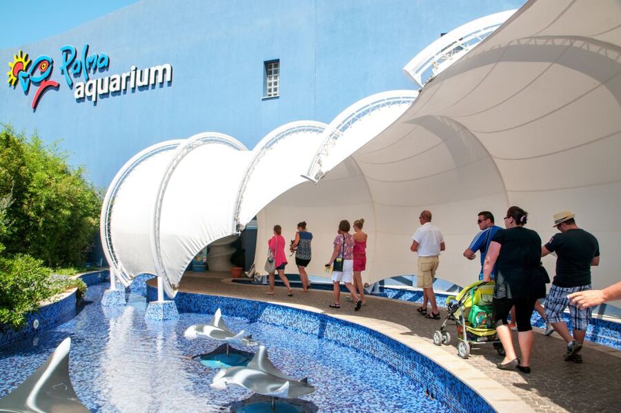 Mallorca: Palma Aquarium Tickets with Transfer - Who should book this Mallorca aquarium day, and who might skip it