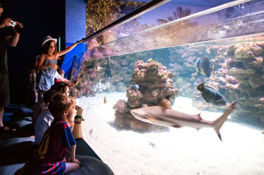 Mallorca: Palma Aquarium Tickets with Transfer - Palma Aquarium with transfer: what $55 really buys you