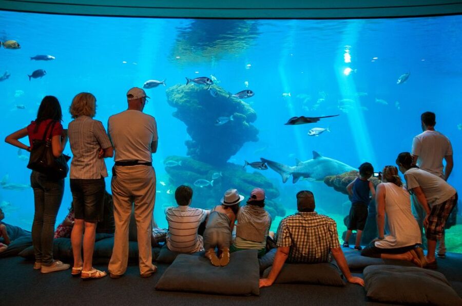 Mallorca: Palma Aquarium Tickets with Transfer - Skip-the-line entry and how to use it wisely