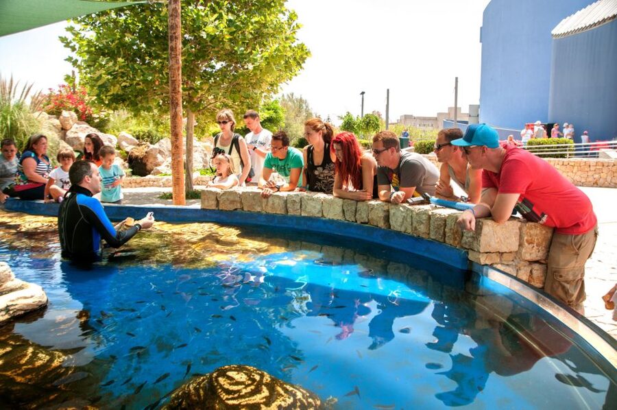 Mallorca: Palma Aquarium Tickets with Transfer - The aquarium route: Old World, New World, Jungle, Mediterranean Gardens