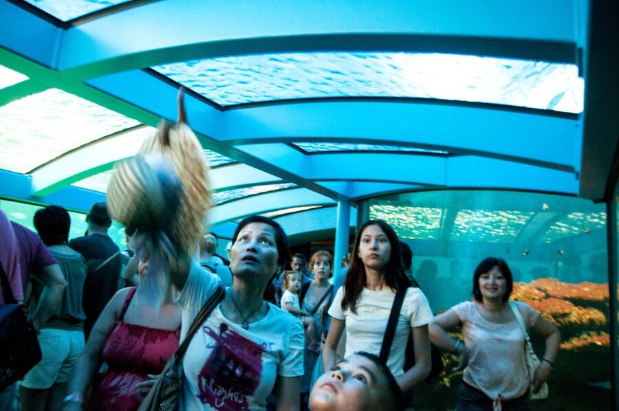 Mallorca: Palma Aquarium Tickets with Transfer - The Jungle and Pirate Ship water fun, made for families