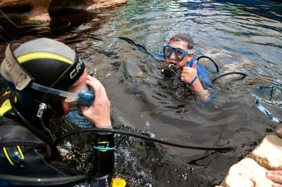 Mallorca: Palma Aquarium Tickets with Transfer - Rooftop garden breaks and the beach just 50 meters away
