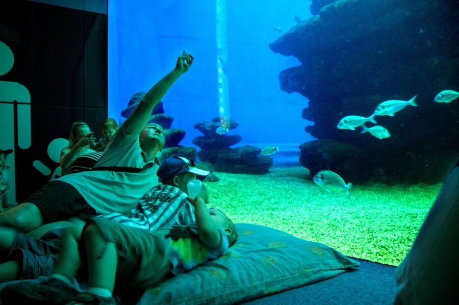 Mallorca: Palma Aquarium Tickets with Transfer - Tickets, photos, and what to budget for once you arrive
