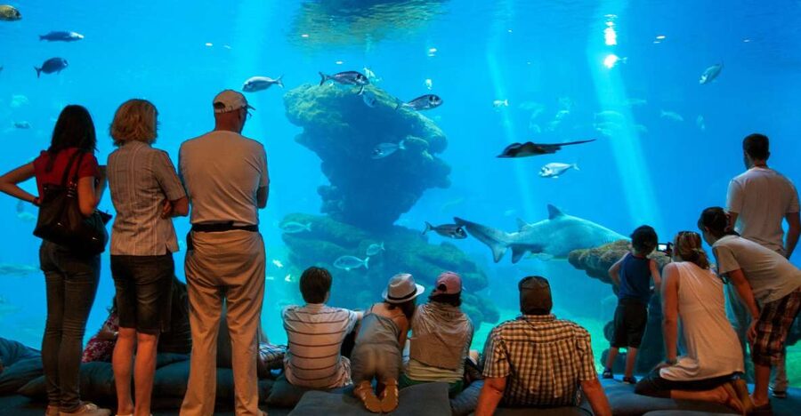 Mallorca: Palma Aquarium Tickets with Transfer - Avinguda de la Platja start, plus a guided ride you can actually use