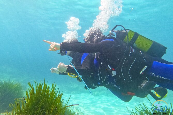 Mallorca PRIVATE Reservation<em>Scuba dive + photo/video – Key highlights worth planning around’ /></p>
<ul>
<li><strong>Private 1-to-2 instruction</strong> for a first-timer friendly experience in Mallorca</li>
<li><strong>Short, simple theory</strong> (about 10 minutes, basic English) before you enter the water</li>
<li><strong>Shore start and low-depth breathing practice</strong>, then gradual comfort building</li>
<li><strong>GoPro Hero 10 photos and videos</strong> included, captured throughout your session</li>
<li><strong>Instructor support throughout</strong>, including easy flotation if you feel any trouble</li>
</ul>
<h2>Private scuba training with 1 instructor for up to 2</h2>
<p>Scuba dive + photo/video – Private scuba training with 1 instructor for up to 2′ /></p>
<p><p>This is not a big cattle-car kind of activity. The format is private, meaning you and your partner or small group get <strong>one instructor for up to two participants</strong>, with no extra strangers mixed in. That matters because your questions do not get lost in the shuffle, and you can take your time adapting to breathing underwater.</p>
</p>
<p><p>The training team is built around instructors with long experience. The center highlights Alex and Jose, with years of teaching behind them. In at least one case, a guest also mentioned Alex paired with Nuria, which is a helpful clue that your exact instructor assignment may vary by day while the coaching style stays consistent.</p>
</p>
<p><p>There is also a strong “first time friendly” vibe in the way they structure the experience. Instead of jumping straight into deeper water, you start on the shore to get used to breathing, equipment feel, and the sensation of depth. If you are nervous, this is the kind of approach that helps your brain stop fighting the situation.</p>
</p>
<div class="twil" style="margin: 20px 0; padding: 15px 0;"><p>You can also read our reviews of more tours and experiences in Mallorca.</p><ul style="margin: 10px 0; padding: 0; list-style: none;"><li style="margin: 0 0 10px 0; padding: 0 0 10px 0; border-bottom: 1px solid #eee; display: flex; align-items: flex-start; gap: 12px; line-height: 1.4;"><a href="https://themallorcaexplorer.com/palma-cathedral-of-mallorca-skip-the-line-entry-ticket/" aria-hidden="true" tabindex="-1"><img decoding="async" style="width: 80px; height: 60px; object-fit: cover; border-radius: 4px; flex-shrink: 0;" src="https://6.themallorcaexplorer.com/wp-content/uploads/palma-cathedral-of-mallorca-skip-the-line-entry-ticket-150x150.jpg" alt="" loading="lazy"></a><div><a href="https://themallorcaexplorer.com/palma-cathedral-of-mallorca-skip-the-line-entry-ticket/">Palma: Cathedral of Mallorca Skip-the-Line Entry Ticket</a><br><span style="font-size: 0.82em; color: #555; margin-top: 2px;"><span style="color: #f5a623;">★</span> 4.6 · 14,386 reviews</span></div></li><li style="margin: 0 0 10px 0; padding: 0 0 10px 0; border-bottom: 1px solid #eee; display: flex; align-items: flex-start; gap: 12px; line-height: 1.4;"><a href="https://themallorcaexplorer.com/palma-de-mallorca-5-hour-catamaran-cruise-with-lunch-swim/" aria-hidden="true" tabindex="-1"><img decoding="async" style="width: 80px; height: 60px; object-fit: cover; border-radius: 4px; flex-shrink: 0;" src="https://6.themallorcaexplorer.com/wp-content/uploads/palma-de-mallorca-5-hour-catamaran-cruise-with-lunch-swim-150x150.jpg" alt="" loading="lazy"></a><div><a href="https://themallorcaexplorer.com/palma-de-mallorca-5-hour-catamaran-cruise-with-lunch-swim/">Palma de Mallorca: 5-Hour Catamaran Cruise with Lunch & Swim</a><br><span style="font-size: 0.82em; color: #555; margin-top: 2px;"><span style="color: #f5a623;">★</span> 4.5 · 9,957 reviews</span></div></li><li style="margin: 0; padding: 0; border-bottom: none; display: flex; align-items: flex-start; gap: 12px; line-height: 1.4;"><a href="https://themallorcaexplorer.com/porto-cristo-caves-of-hams-entry-ticket/" aria-hidden="true" tabindex="-1"><img decoding="async" style="width: 80px; height: 60px; object-fit: cover; border-radius: 4px; flex-shrink: 0;" src="https://6.themallorcaexplorer.com/wp-content/uploads/porto-cristo-caves-of-hams-entry-ticket-150x150.jpg" alt="" loading="lazy"></a><div><a href="https://themallorcaexplorer.com/porto-cristo-caves-of-hams-entry-ticket/">Porto Cristo: Caves of Hams Entry Ticket</a><br><span style="font-size: 0.82em; color: #555; margin-top: 2px;"><span style="color: #f5a623;">★</span> 4.2 · 6,548 reviews</span></div></li></ul></div><h2>The 2-hour Mallorca schedule, theory first then 45 to 50 minutes underwater</h2>
<p><img width="669" height="446" decoding="async" src=