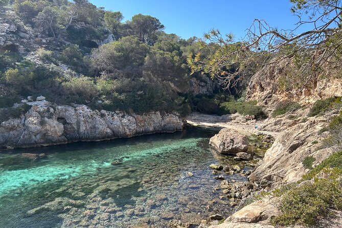 Mallorca Secret Coves Land Rover Private Tour - Old Land Rover comfort: the practical reality