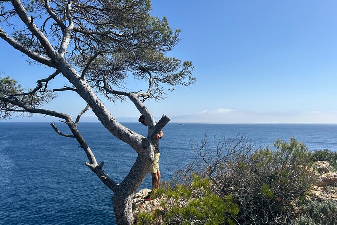 Mallorca Secret Coves Land Rover Private Tour - Palma to the start line, and how the timing works for a half-day