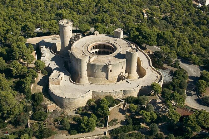 Mallorca Shore Excursion Bellver Castle and Cathedral Private Tour - How the Guide Style Can Make or Break the Day