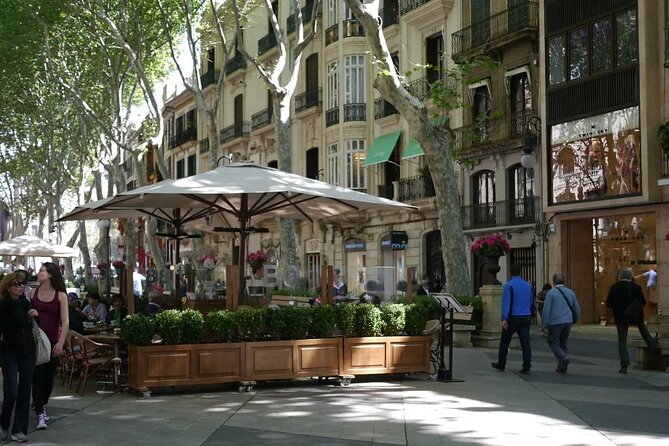 Mallorca Shore Excursion Highlights Private Tour including Valldemossa - Who This Shore Tour Suits Best (And Who Might Want Something Else)
