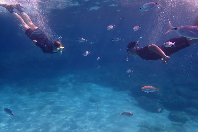 Mallorca: Snorkeling in a Beautiful Nature Reserve - Why this Mallorca snorkeling feels different from the usual beach loop