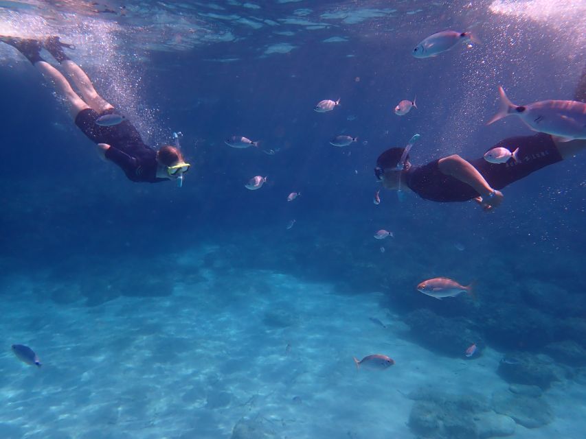 Mallorca: Snorkeling in a Beautiful Nature Reserve - Safety and language: the rule that keeps this trip friendly