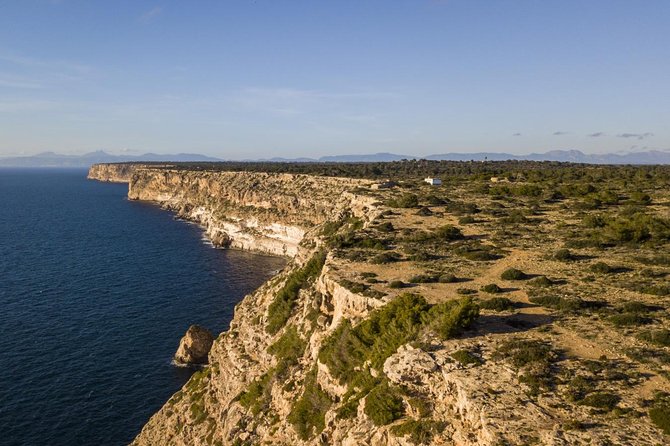 Mallorca Southern cliffs and the Salt Marshes guided Tour - Key takeaways before you go