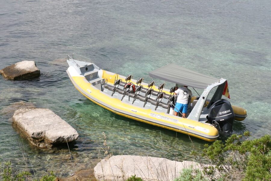Mallorca : Speedboat, Snorkelling and Swimming Adventure - Formentor by Speedboat: What 1.5 Hours Feels Like